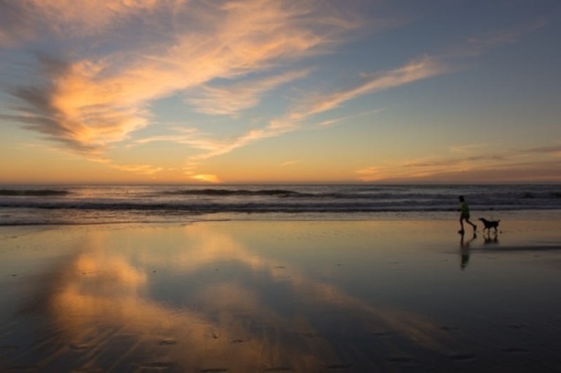 VOLUNTEER BEACH CLEANUP - San Francisco